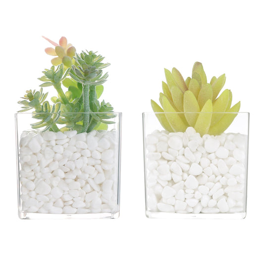 PapakeNook Mini Artificial Succulent in Pots, Clear Acrylic, 2-Pack