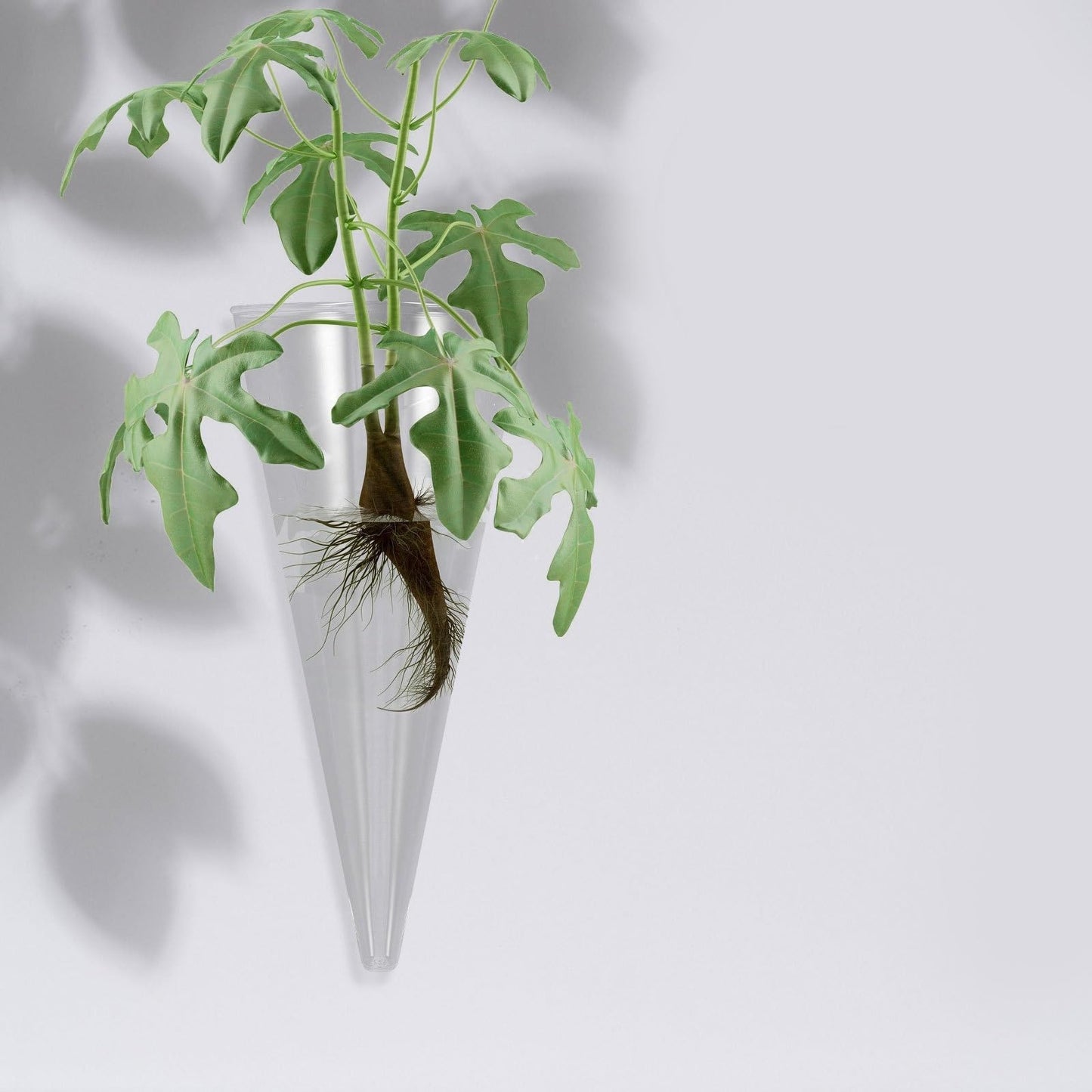 Wakauto Clear Glass Wall Vase Cone Shape Decorative Hanging Planter for Hydroponic Flowers and Greenery Chic Wall Mounted Bud Holder for Home Dorm Office