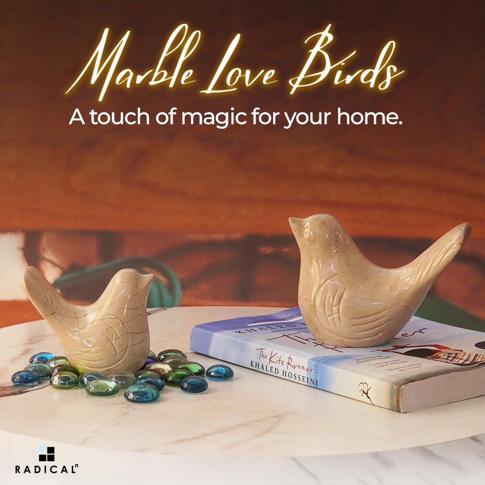 Radicaln Marble Love Bird 4.5" Inches Verona Handmade Statue for Living Room Modern Love Bird Set of 2 Shelf Décor Aesthetic Ideal Figurines Statue for Decoration