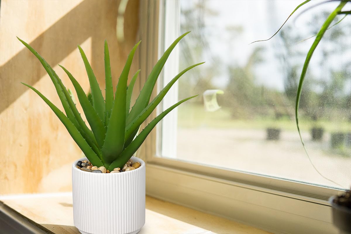 GnFlus Artificial Succulent Aloe Plants 12 Inch Faux Succulents with Ceramic Pot Fake Aloe Potted Plant for Home Indoor Bathroom Table Bedroom Shelf Office Decor
