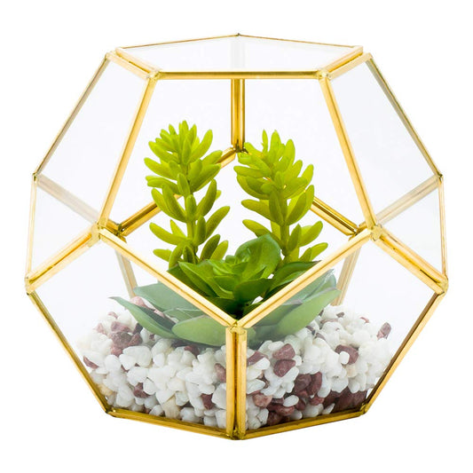 Restaurantware-6.7 x 6.3 x 6.3 Inch Faux Succulent, 1 Artificial Succulent - In Pentagon Glass Terrarium, Use As Table Or Shelf Decor, Centerpiece, Gold Plastic Fake Desk Plant, Geometric