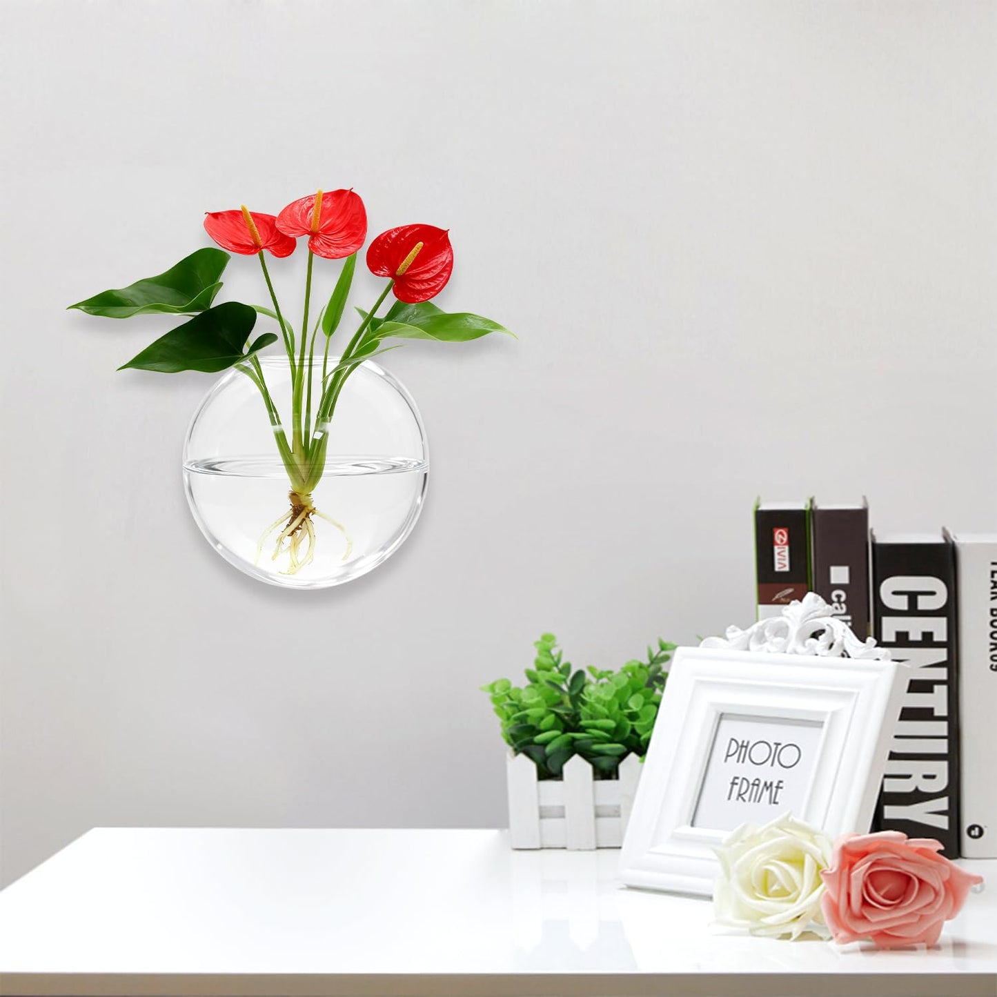 Wall Hanging Propagation Station 6 Pack Oblate Glass Hydroponic Plant Vases