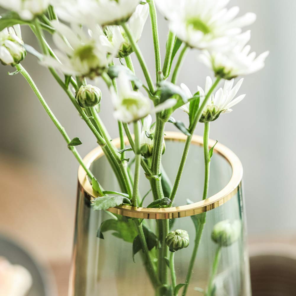 FUNSOBA Green Glass Flower Vase with Gold Mouth for Centerpieces Home Wedding Decoration (1, Small)