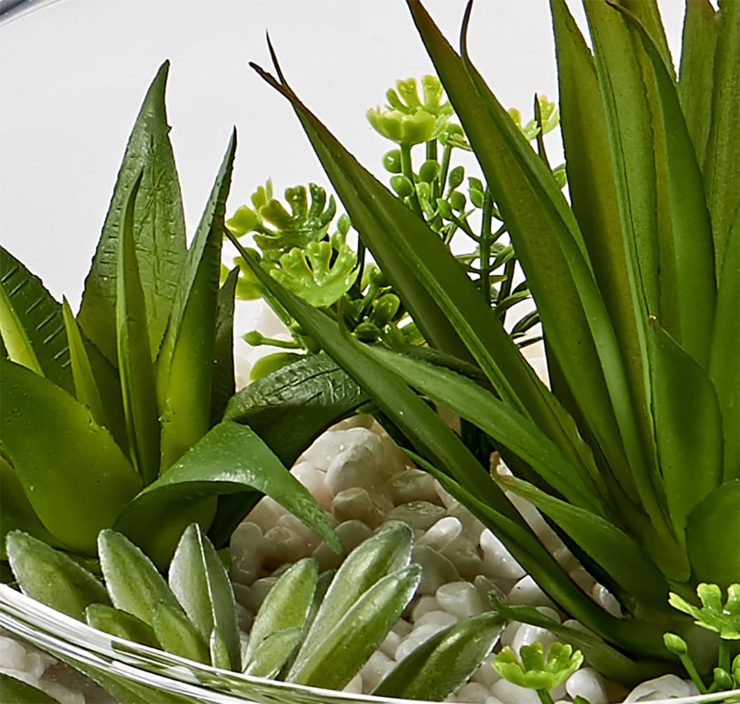 WORTH IMPORTS Artificial Succulents Dish Garden on Stones in 6" Glass Container