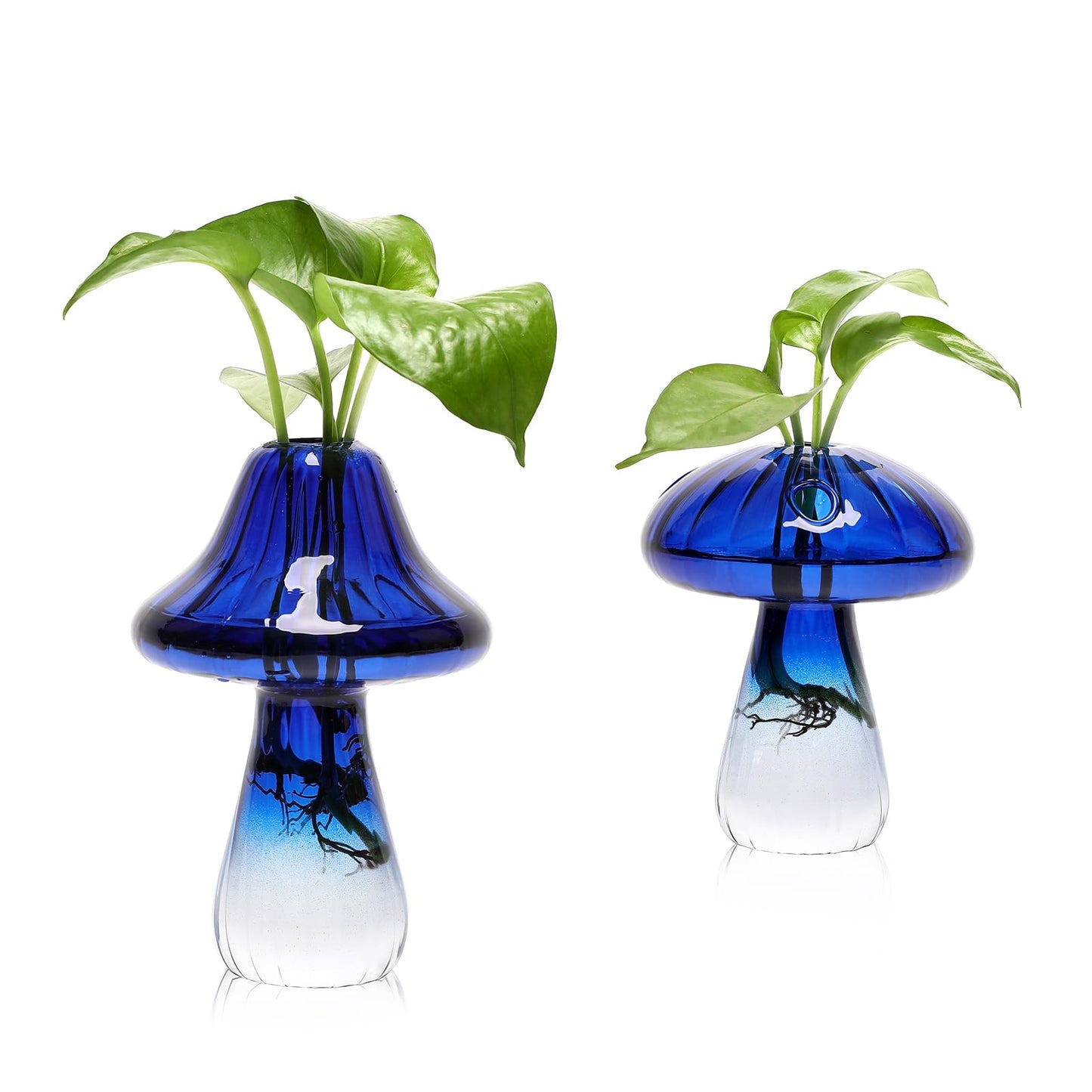 Mushroom Glass Vase Propagation Stations Flower Vases