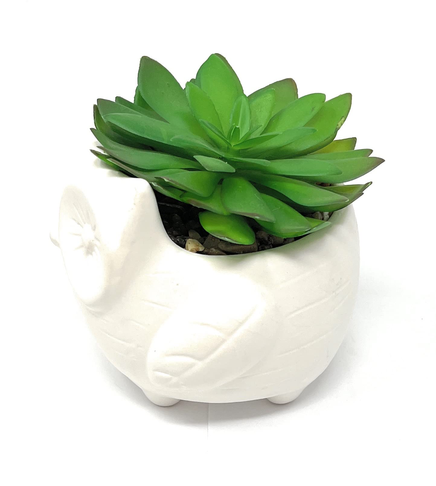 Nature's Mark 3.9" H Succulent in Owl White Ceramic Planter, Modern and Simple Stylish Design Artificial Plants