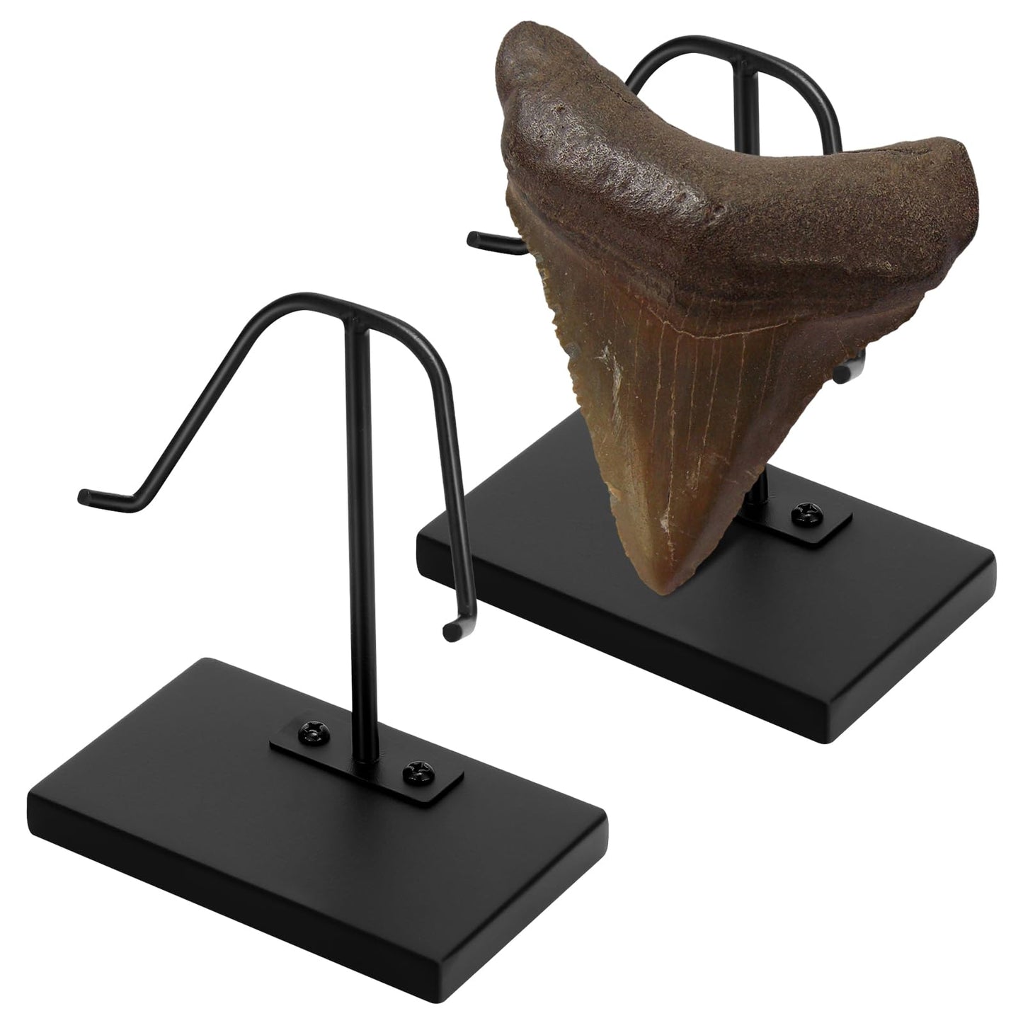 Chunful 2 Pcs Megalodon Shark Tooth Display Stand Metal Display Holder with Base for Mineral Agate, Rocks Crystal, Gemstones, Fossils, Coral Geodes, Plate and Photo