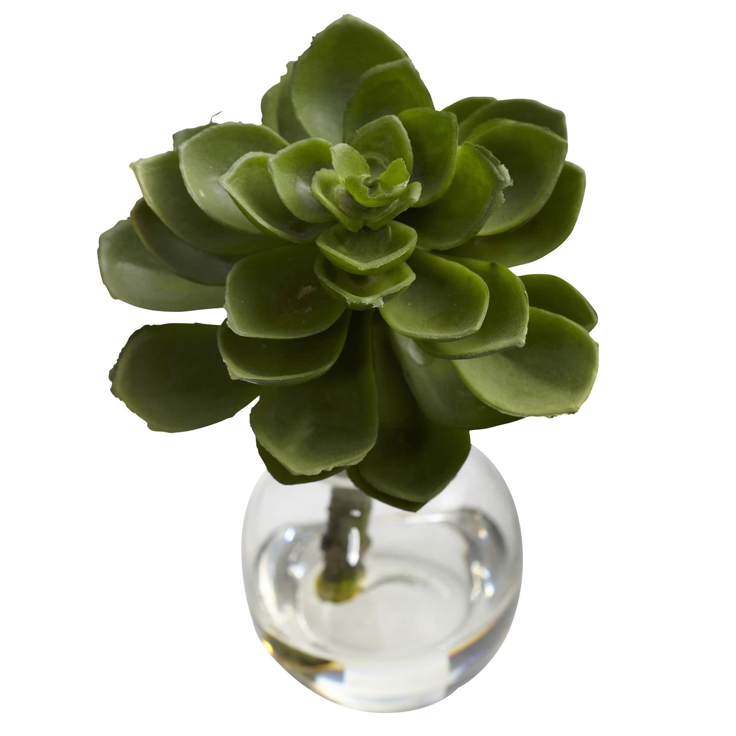 Nearly Natural Succulent Arrangements (Set of 3)