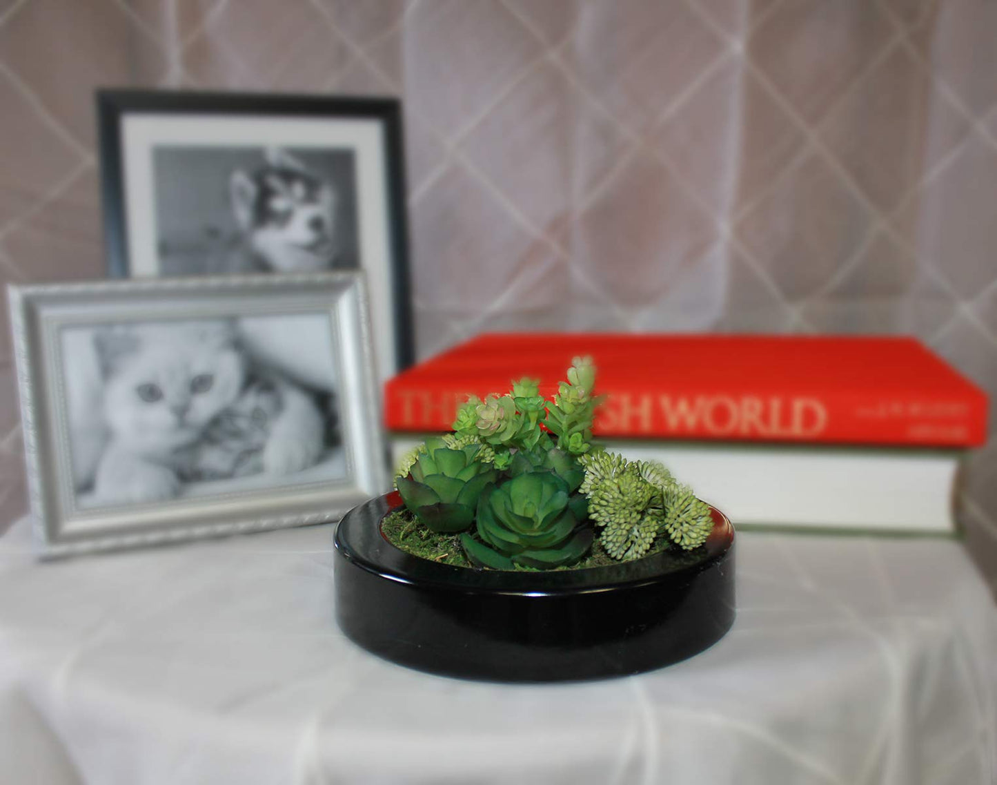 WORTH IMPORTS Artificial Mixed 7" Round Dish Garden Plastic Container Succulent, Black,Green