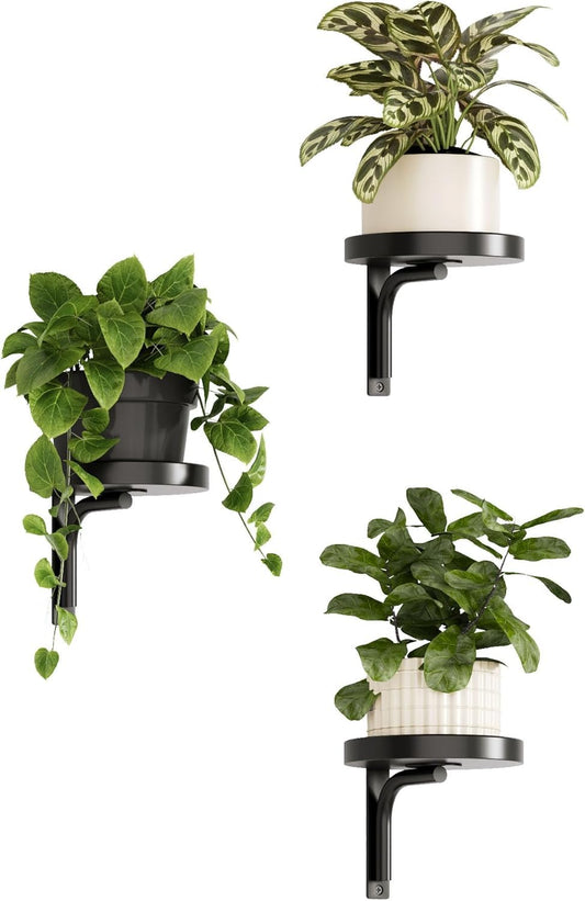 Bamworld Wall Plant Holder indoor Metal Plant Wall shelf 3 Pcs Wall Mounted Plant Holder Plant Hangers for Indoor Outdoor Decor Black