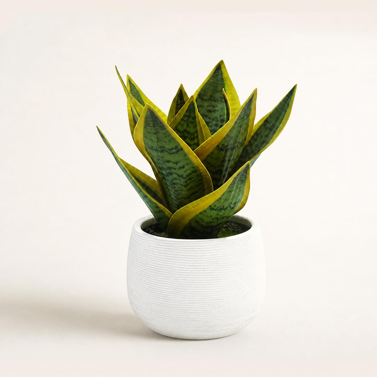 EVERLNESTIO 8" Fake Snake Plant & Faux Agave in White Ceramic Pot | Pet-Friendly Low-Light Sansevieria Greenery, Real Touch Small Fake Plant for Home Office Desk, Bookshelf, Bathroom Decor