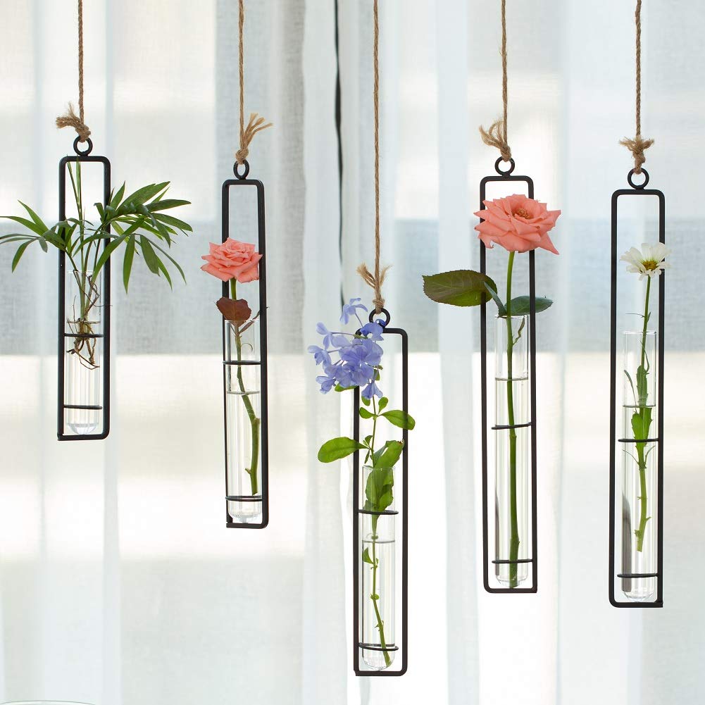 Sziqiqi Hanging Clear Glass Propagation Tube Vase for Cuttings, Hydroponic Plant Propagation Home Balcony Floral Container Wall Decoration Black 2ps (L+L)
