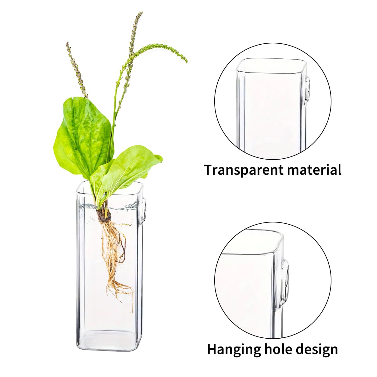 Aulufft 6 Pcs Glass Wall Mounted Planters, Hanging Glass Tubes Flower Vase, Wall Vase for Plants Indoor, Propagation Wall Planter Container for Hydroponics Plants, Garden Wedding Decor