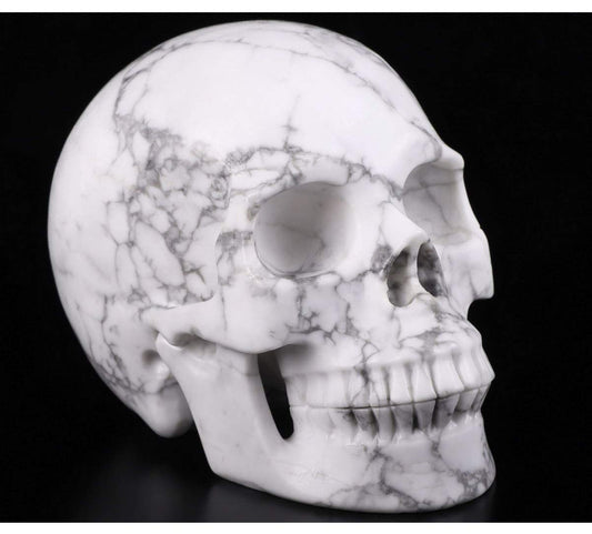 Skullis 5.0" Howlite Crystal Skull, Hand Carved Gemstone Fine Art Sculpture, Reiki Healing Stone Statue.