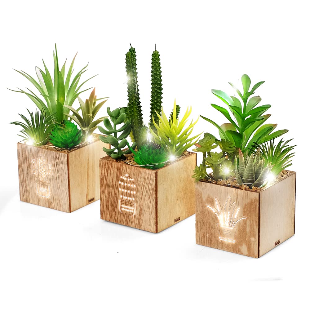BEGONDIS Artificial Succulents with LED Lights, Set of 3 Fake Plants in Wooden Boxes for Indoor Home Decor, Desk, Shelf, Bedroom and Office