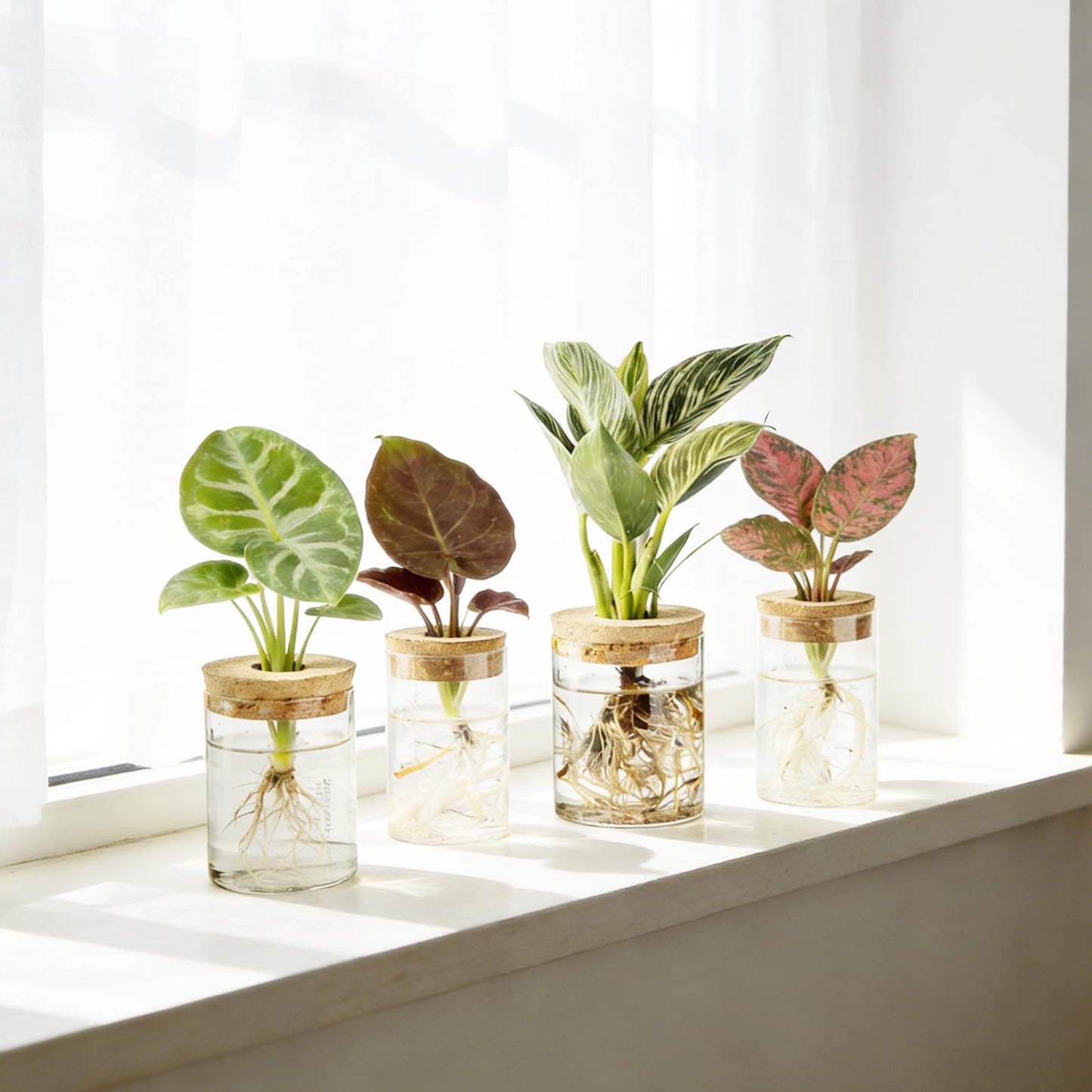 Glass Plant Propagation Station Set of 4, 2 Large and 2 Small Clear Borosilicate Glass Vases for Plant Propagation, Modern Nordic Hydroponic Propagation Stations for Home Office Decor
