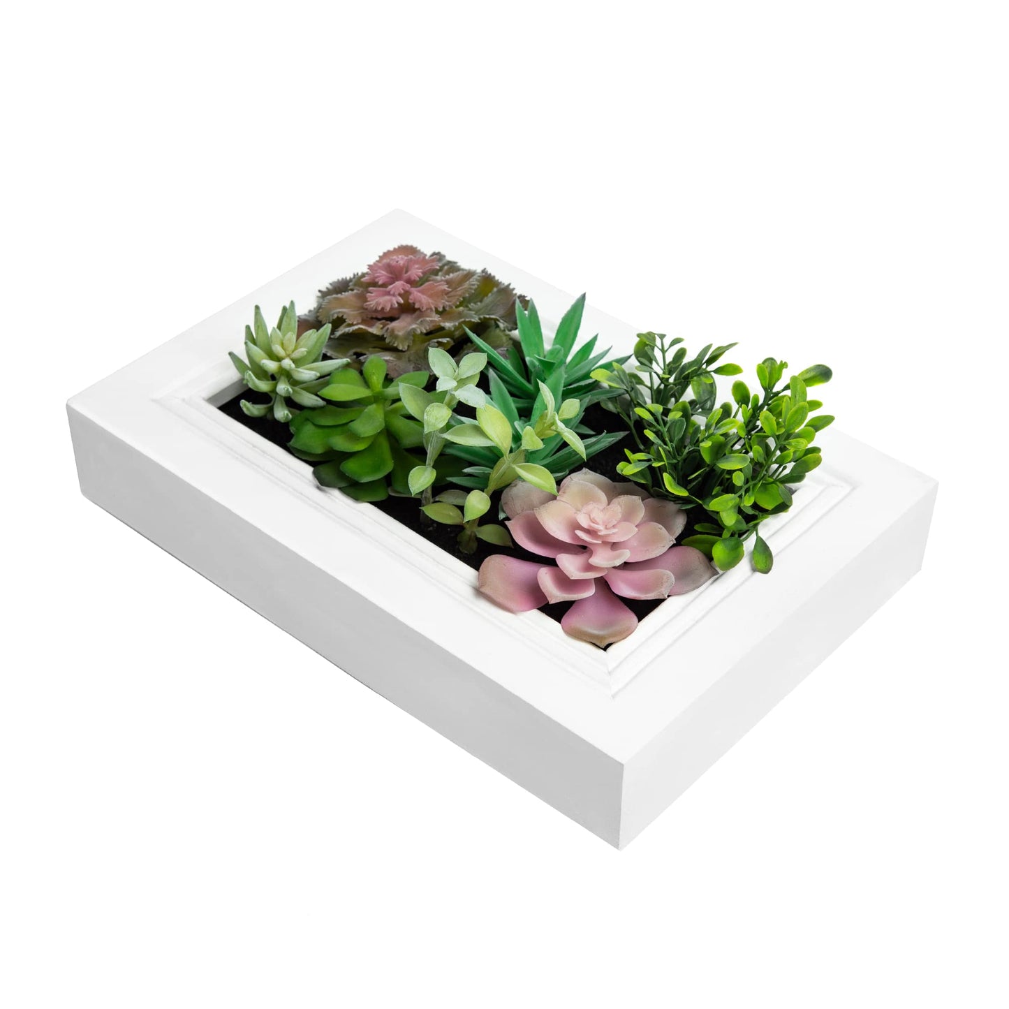 Nattol 3D Artificial Succulent Wall Art, Wood Frame with Realistic Faux Plant, Wall Hanging Botanical Decoration, Home Decor Idea for Vertical Garden and Fake Plants, White