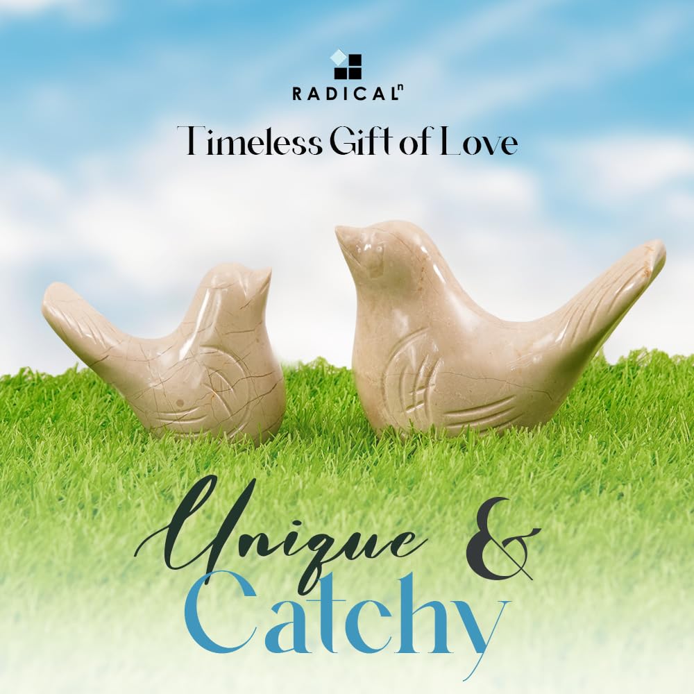 Radicaln Marble Love Bird 4.5" Inches Verona Handmade Statue for Living Room Modern Love Bird Set of 2 Shelf Décor Aesthetic Ideal Figurines Statue for Decoration