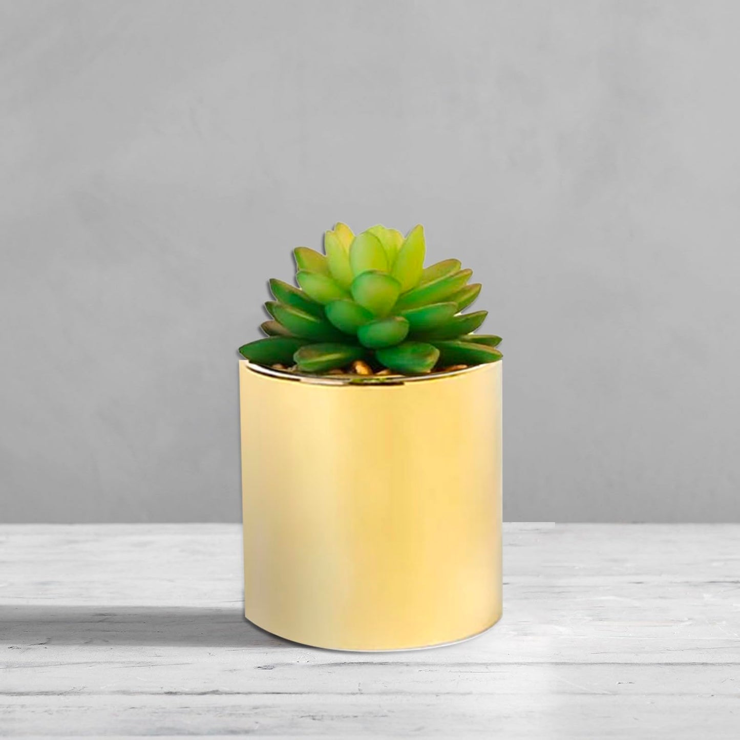 SasaAccueil Faux Succulent Artificial Plants 7'' & 5'' in Pots Home Decoration Set of 2 Gold Pots