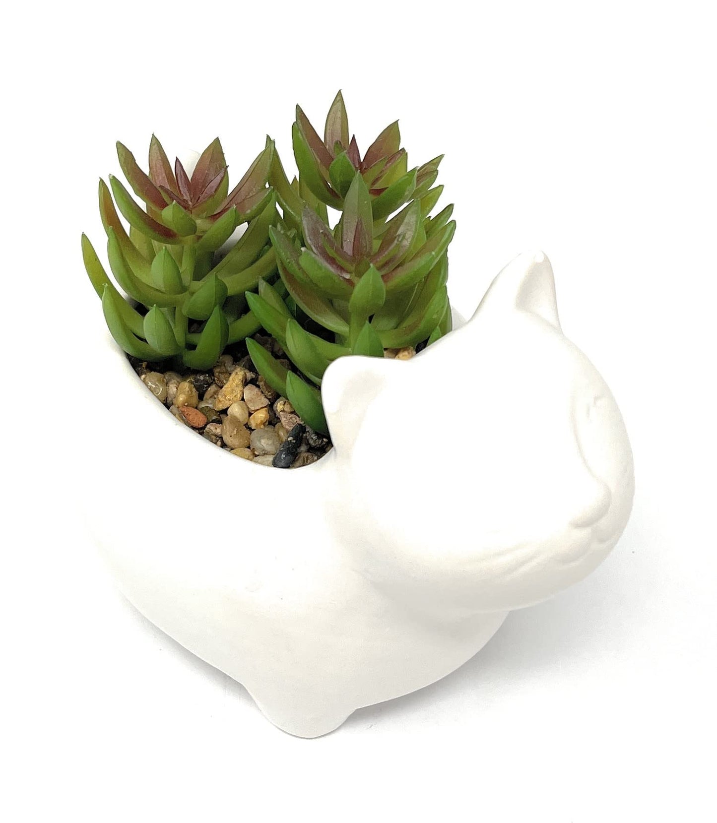 Nature's Mark 4.7" H Succulent in Cat White Ceramic Planter, Modern and Simple Stylish Design Artificial Plants