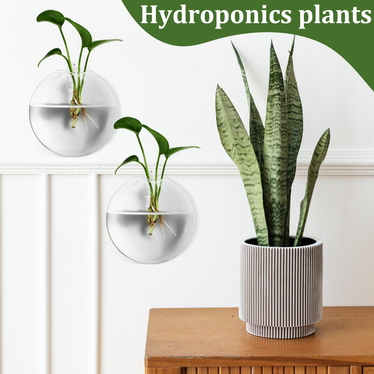 NUOBESTY 4-Pack Clear Glass Wall Mounted Vases Hanging Flower Pots Indoor Wall for Small Space Floral Display and Hydroponics