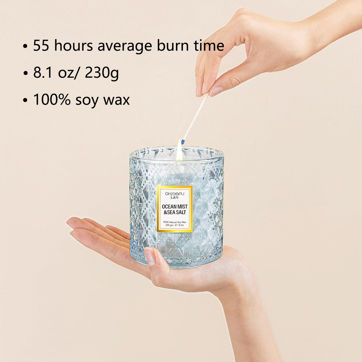 Chloefu LAN Ocean Candles Sea and Salt Candle with up to 55 Hour Long Lasting, Highly Scented, Luxury Air Freshening Jar Candles - Perfect Home Decor, Natural Soy Wax, Beach Candle, 8.1oz