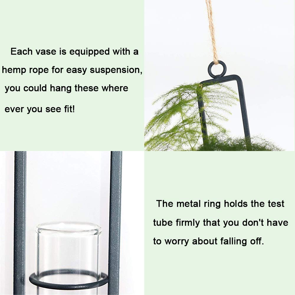 Sziqiqi Hanging Clear Glass Propagation Tube Vase for Cuttings, Hydroponic Plant Propagation Home Balcony Floral Container Wall Decoration Black 2ps (L+L)