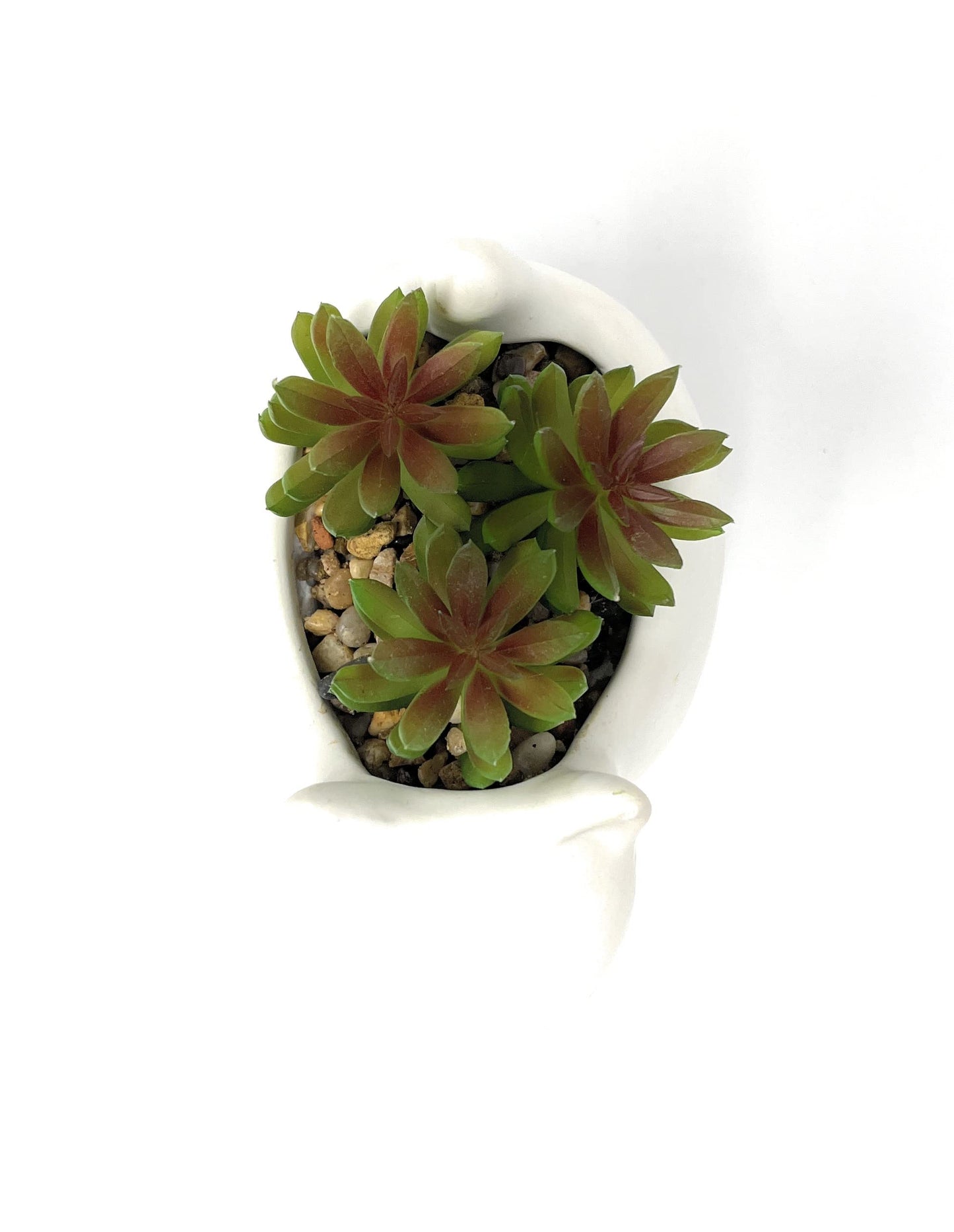 Nature's Mark 4.7" H Succulent in Cat White Ceramic Planter, Modern and Simple Stylish Design Artificial Plants