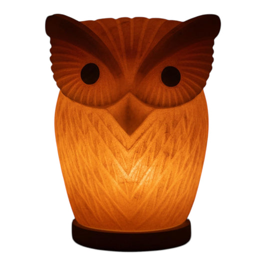 Himalayan Salt Lamp Owl Shape – 7 Inch High, 4.4 lbs, Hand-Crafted Natural Pink Rock Salt Lamp with Wooden Base & Dimmer Cable