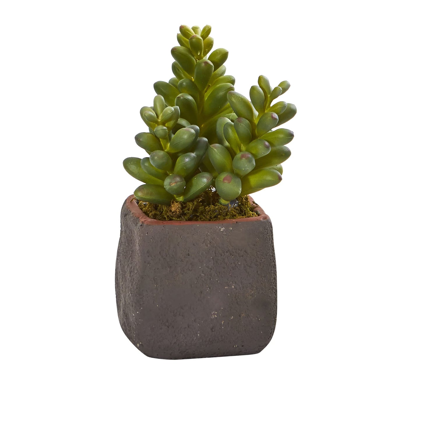 Nearly Natural Mixed Succulent Trio Artificial Plant (Set of 3)