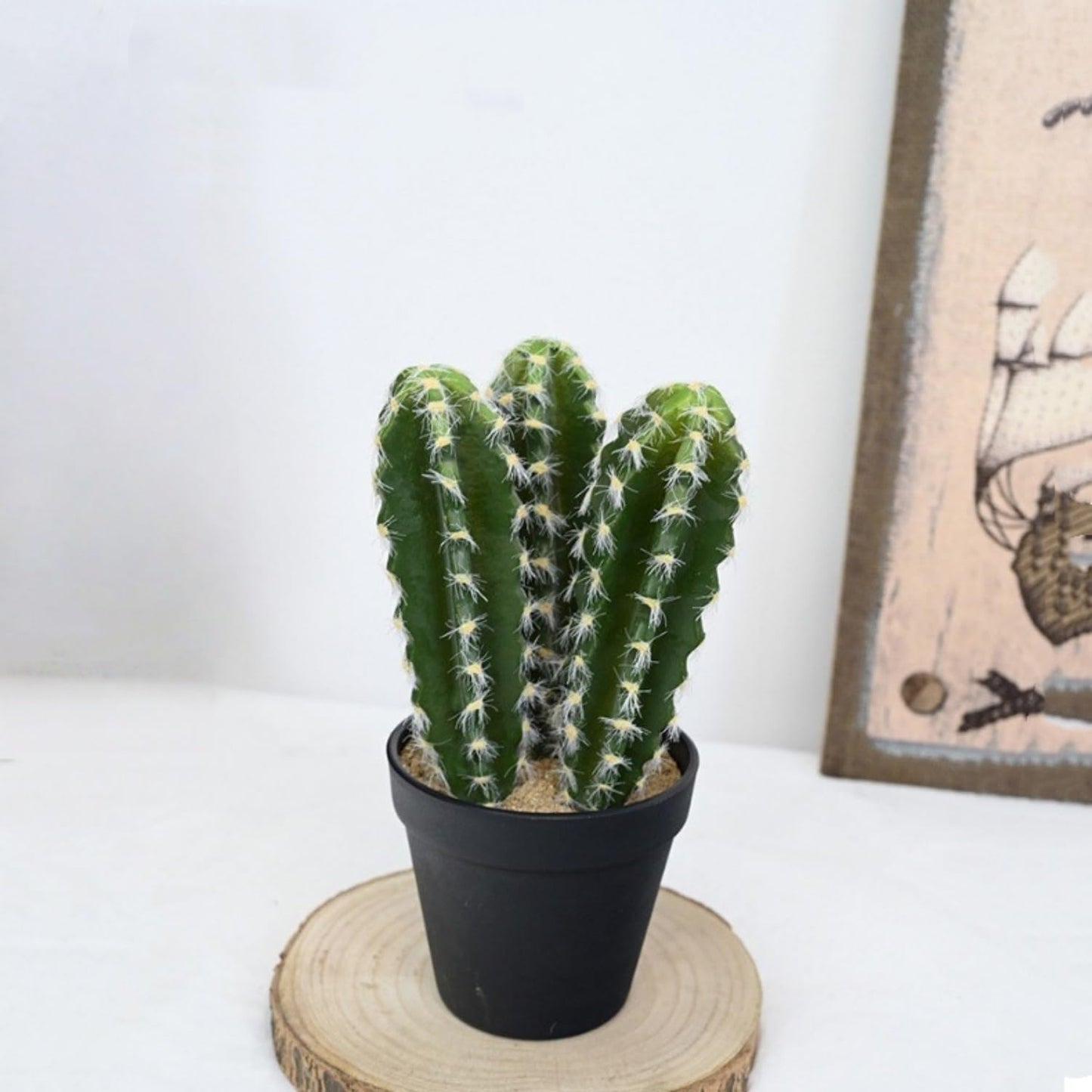 Rmisk 9.45 Inch Artificial Cactus Plants in Pots - Small Faux Cacti & Succulents for Indoor Decor - Fake Cactus Plants for Home, Office Desk & Shelf Decorations (Green Black Pot)