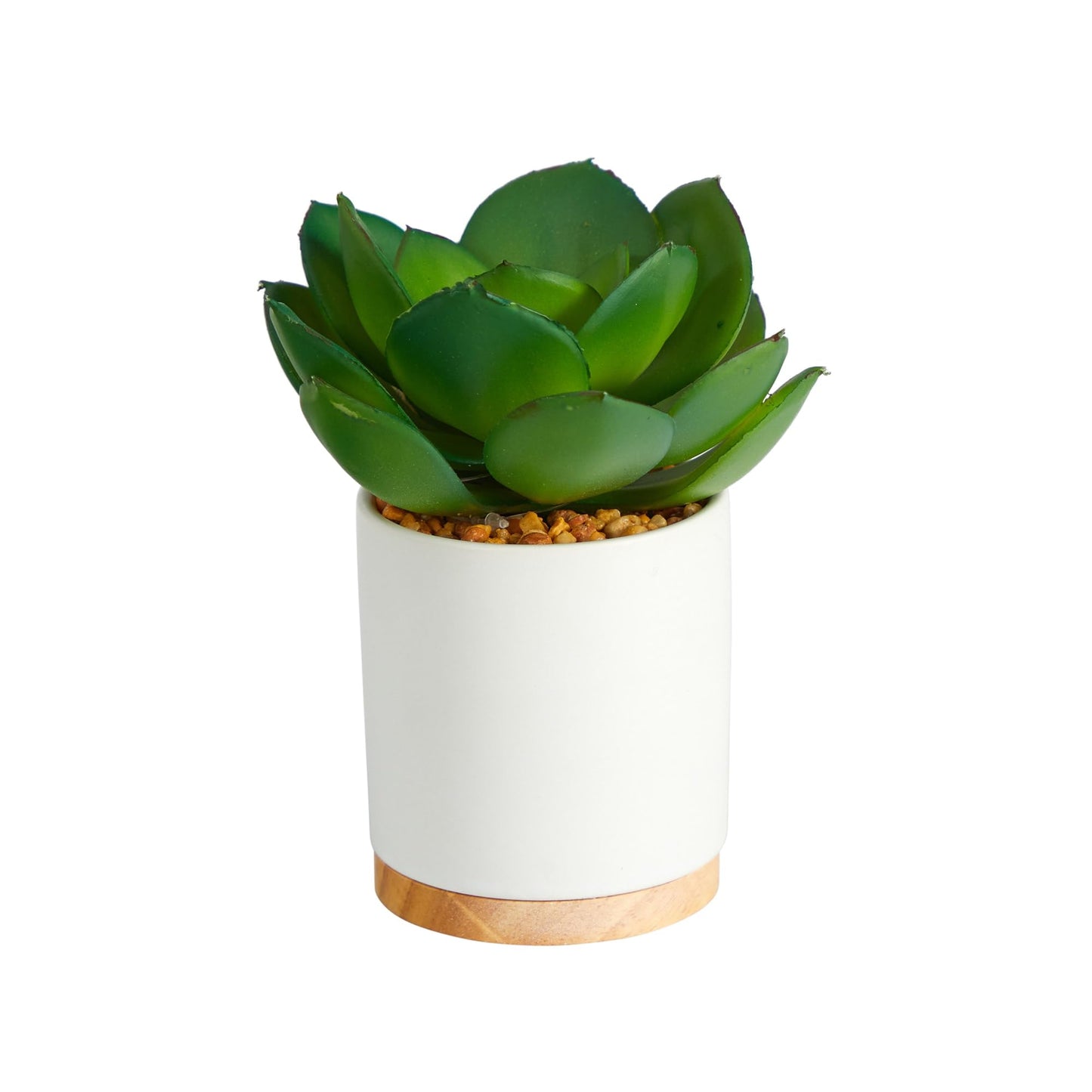 Nearly Natural 6in. Succulent Artificial Plant in White Ceramic Planter