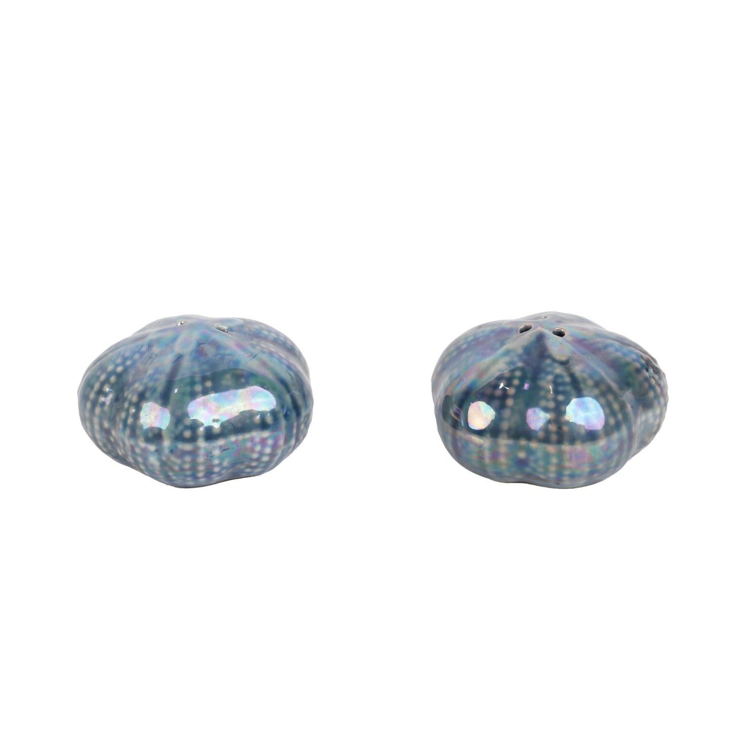 Servette Home Beach Scene Salt and Pepper Shaker Novelty Kitchen Décor- Sand Dollars