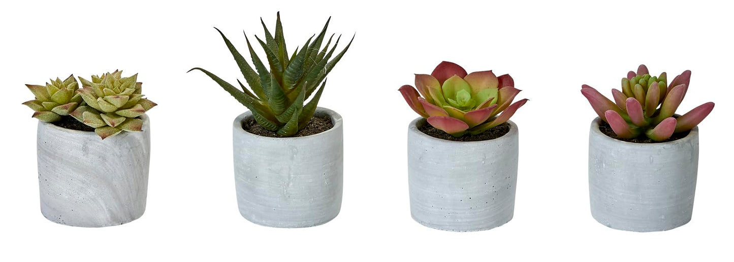 Worth Imports Artificial Fake Succulent Plant in 2.75” Diameter Cement Pot, Set of 4 for Kitchen, Bathroom, Livingroom, Bedroom, Office, Desk, Patio, Indoor Or Outdoor