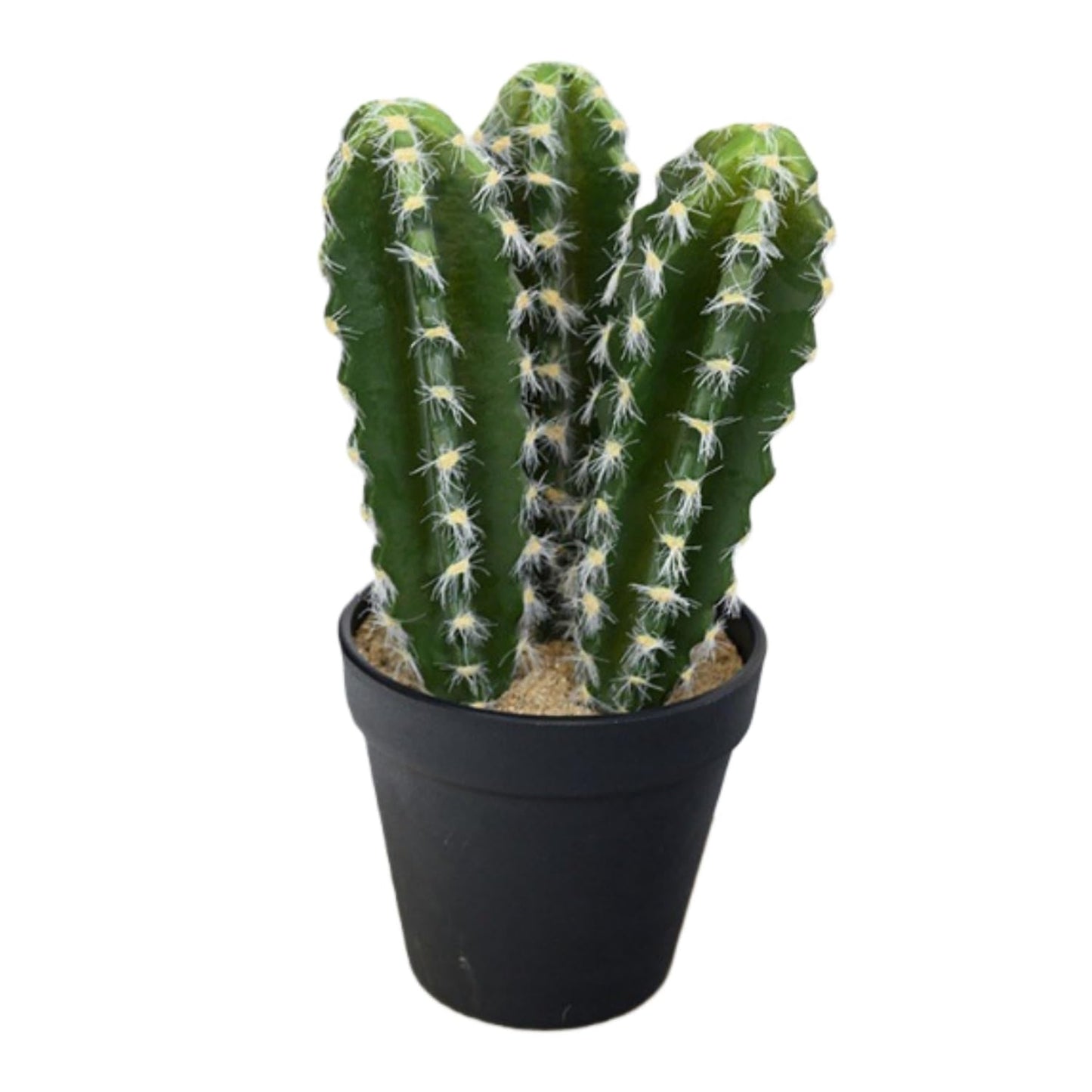Rmisk 9.45 Inch Artificial Cactus Plants in Pots - Small Faux Cacti & Succulents for Indoor Decor - Fake Cactus Plants for Home, Office Desk & Shelf Decorations (Green Black Pot)
