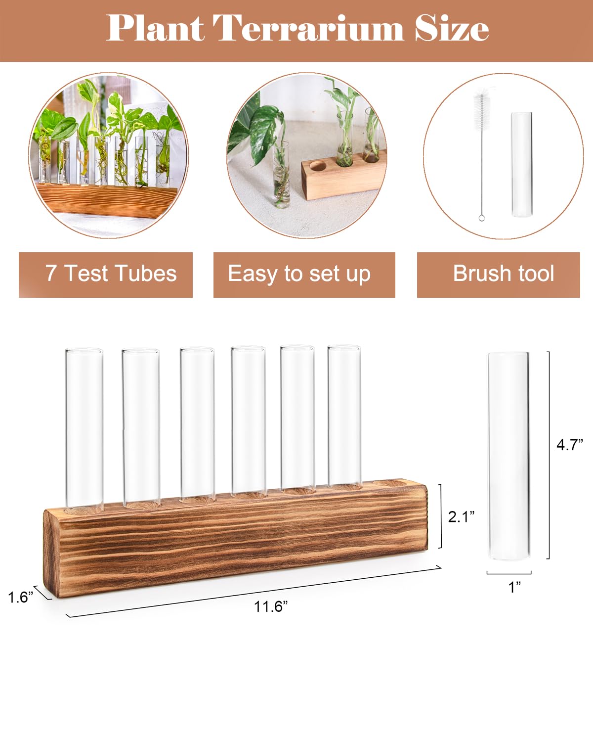 KAXYEW Plant Terrarium with Wooden Stand, Plant Propagation Tubes, 7 Test Tubes Glass Planter for Hydroponic Plant Cuttings Home Office Décor