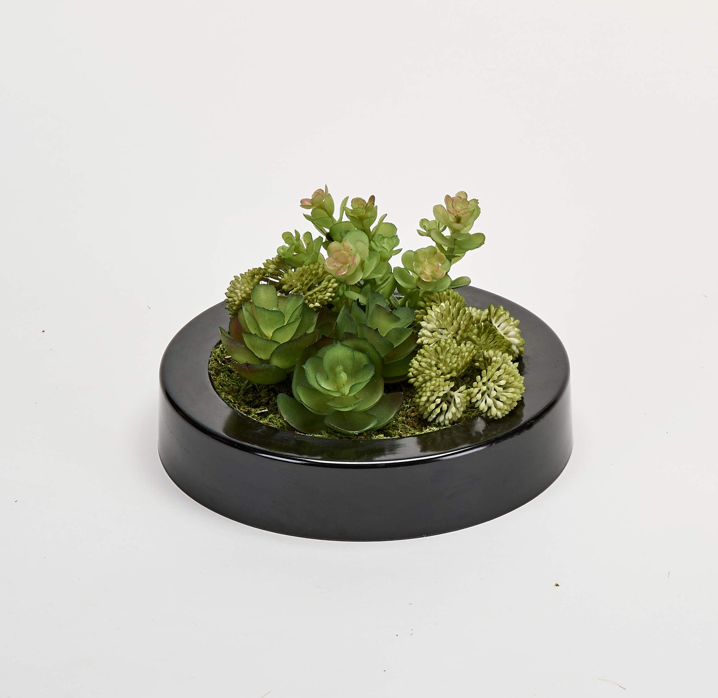 WORTH IMPORTS Artificial Mixed 7" Round Dish Garden Plastic Container Succulent, Black,Green