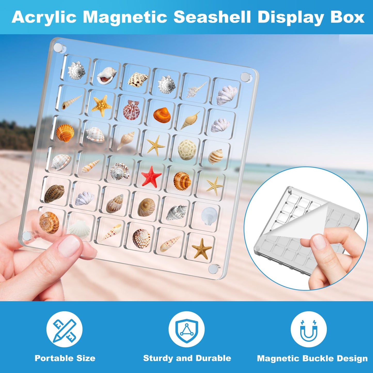 XANGNIER Acrylic Magnetic Seashell Display Box,Clear Sea Shell Display Box,Beach Magnet Storage Organizer Case for Seashell Diamond Beads,72 Grids,Transparent,2 Pack