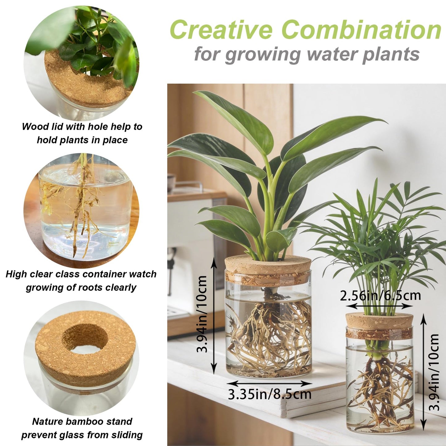 Glass Propagation Stations, 2 Large & 2 Small Desktop Flower Vases
