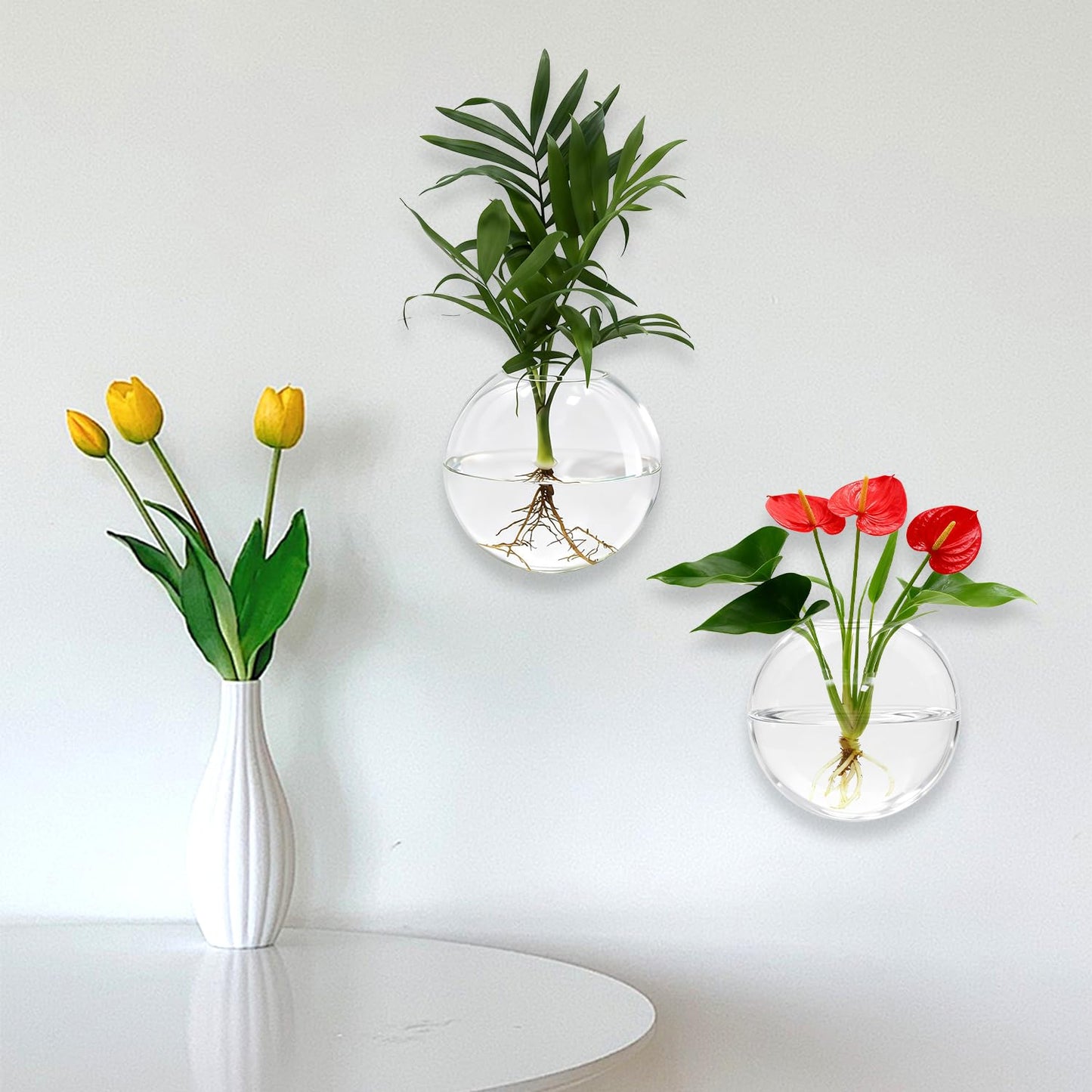 Wall Hanging Propagation Station 6 Pack Oblate Glass Hydroponic Plant Vases