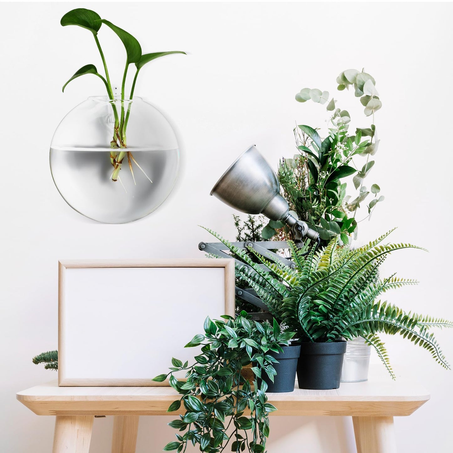 NUOBESTY 4-Pack Clear Glass Wall Mounted Vases Hanging Flower Pots Indoor Wall for Small Space Floral Display and Hydroponics