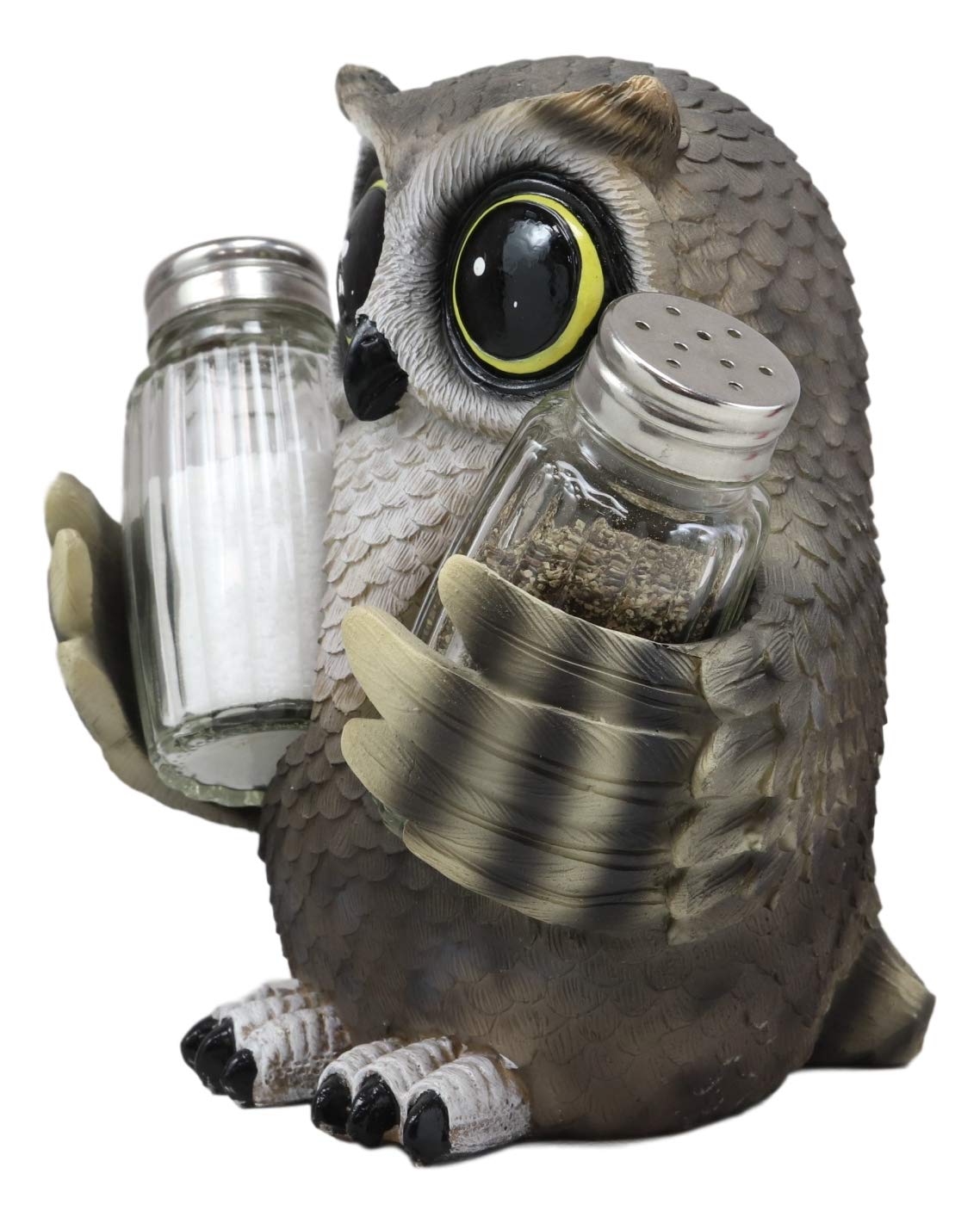 Ebros Gift Whimsical Owlet Baby Owl With Big Round Eyes Glass Salt And Pepper Shakers Holder Display Figurine Set 6" Tall Wildlife Whispering Forest Spirit Nocturnal Birds Sculpture Home Decor Accent