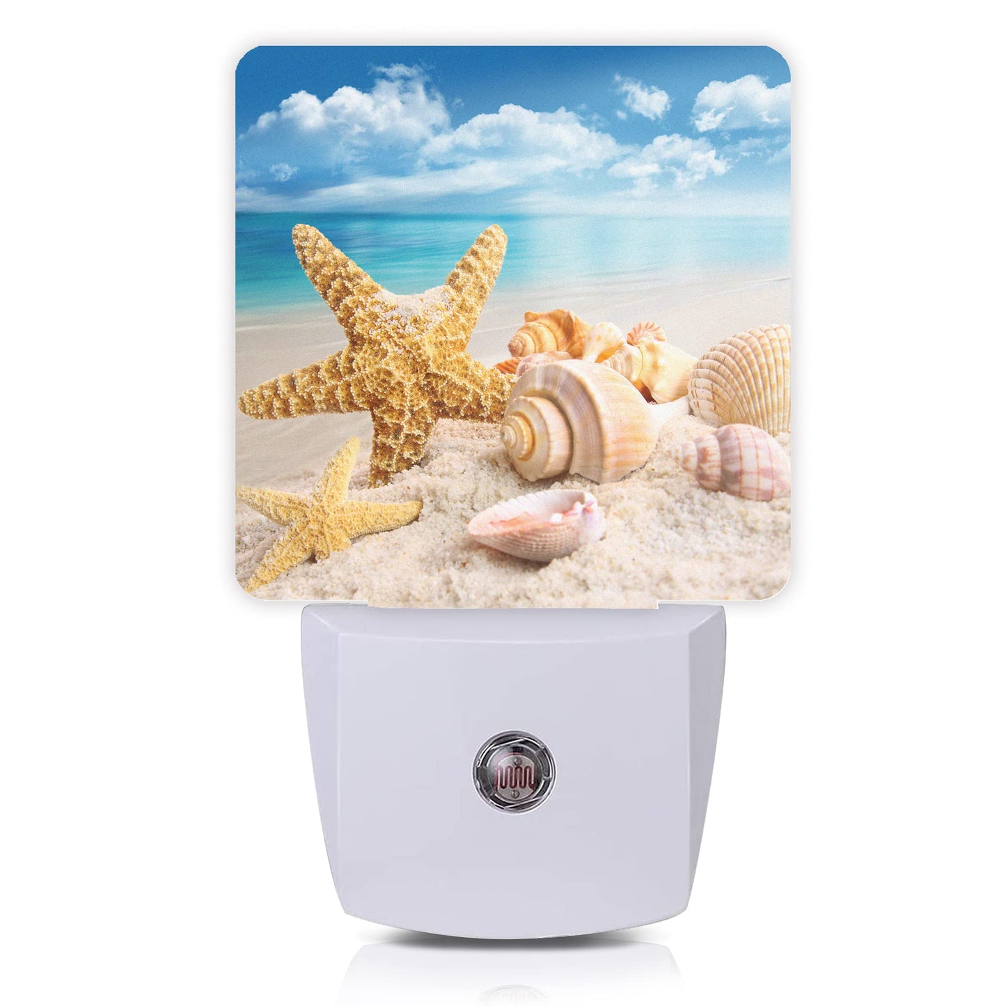 Oeaskly Starfish and Seashells Beach Night Light,Night Lights Plug into Wall for Boys Girls, Led Lights Indoor Home Decor 0.5W Nightlight Sleep Friendly