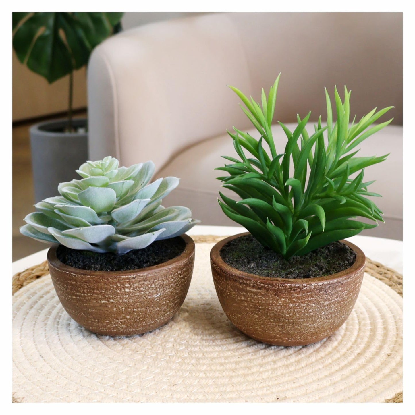 VINSUNI Artificial Succulents Plastic Artificial Green Plant for Office, Fake Succulents for Home Decoration (Set of 2 Succlents in Pots)