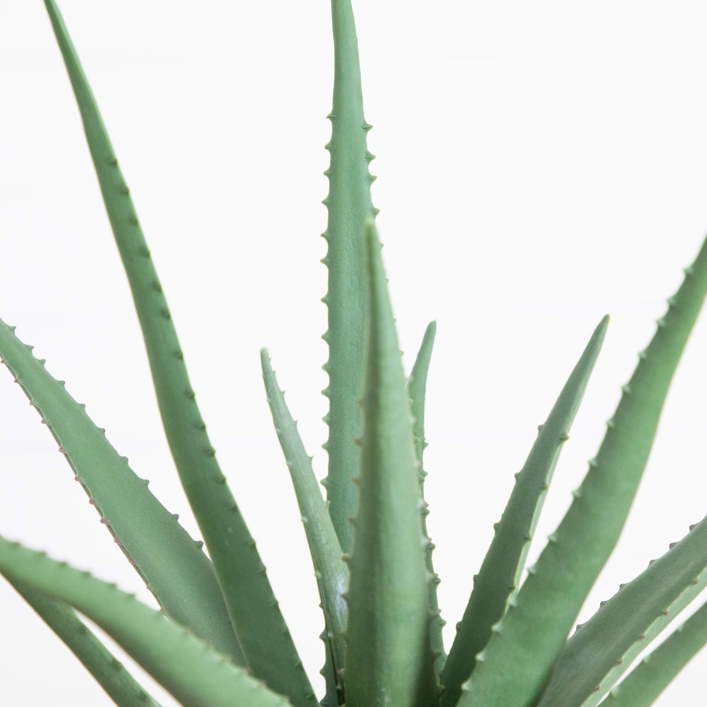 Nearly Natural 17.5in Artificial Agave Plant - Realistic Desert Decor for Home - Minimal Maintenance