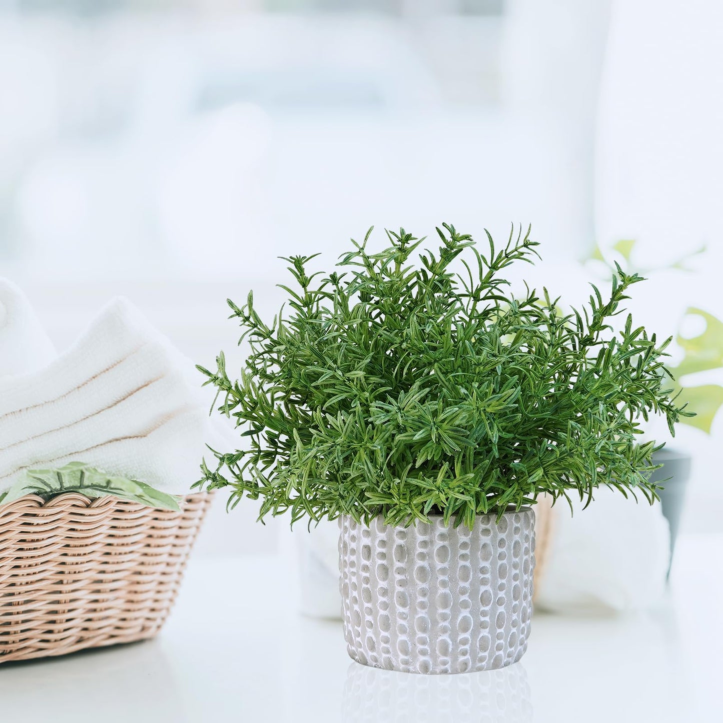 Winlyn 3 Pcs Artificial Potted Plants - Faux Eucalyptus, Boxwood, Rosemary, Greenery in Small Concrete Pots -Desk, Table, Shelf, Windowsill Decor for Indoor Outdoor Home Office