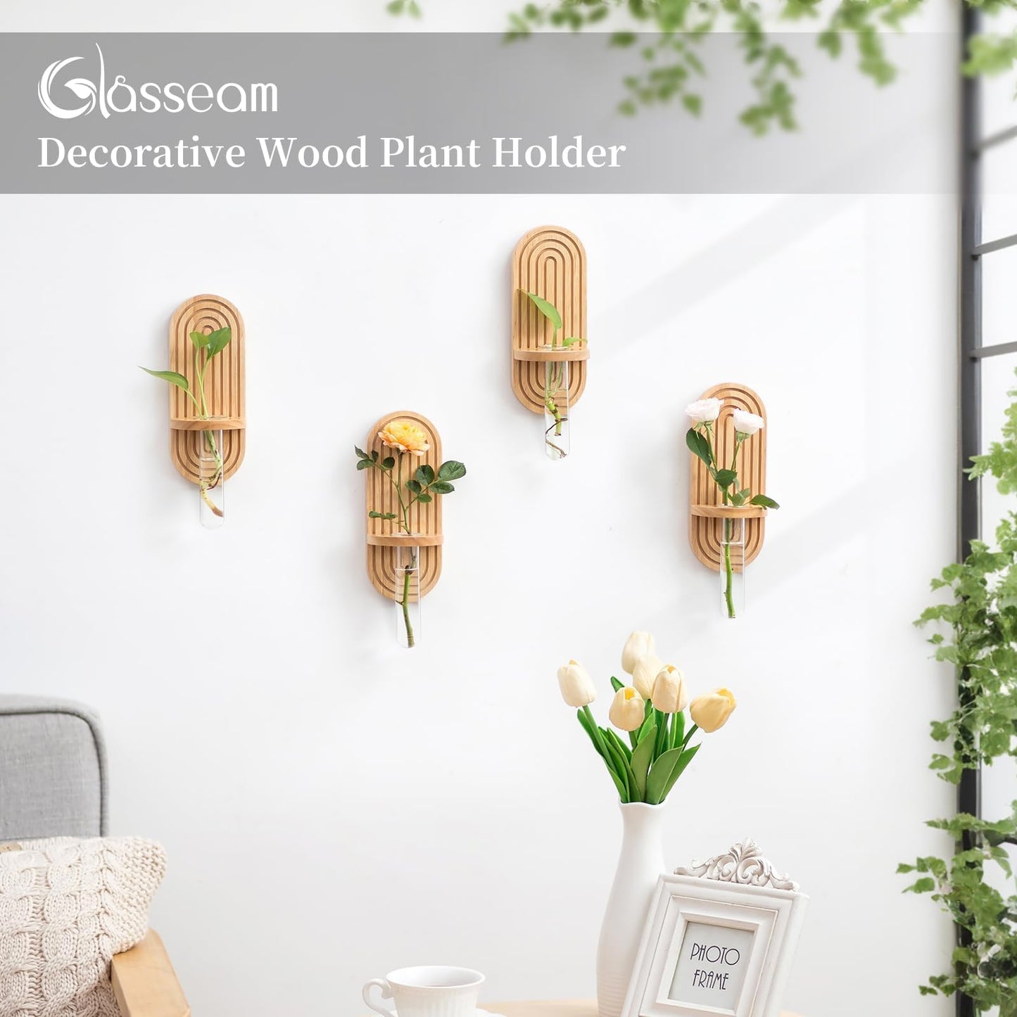 Glasseam Wall Plant Propagation Station: Hanging Glass Propagation Vases
