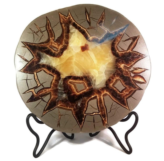 The Geode Mine: Septarian Nodule Slab - Stand and Information Card Included (A: 4.5 to 5.5 inch)