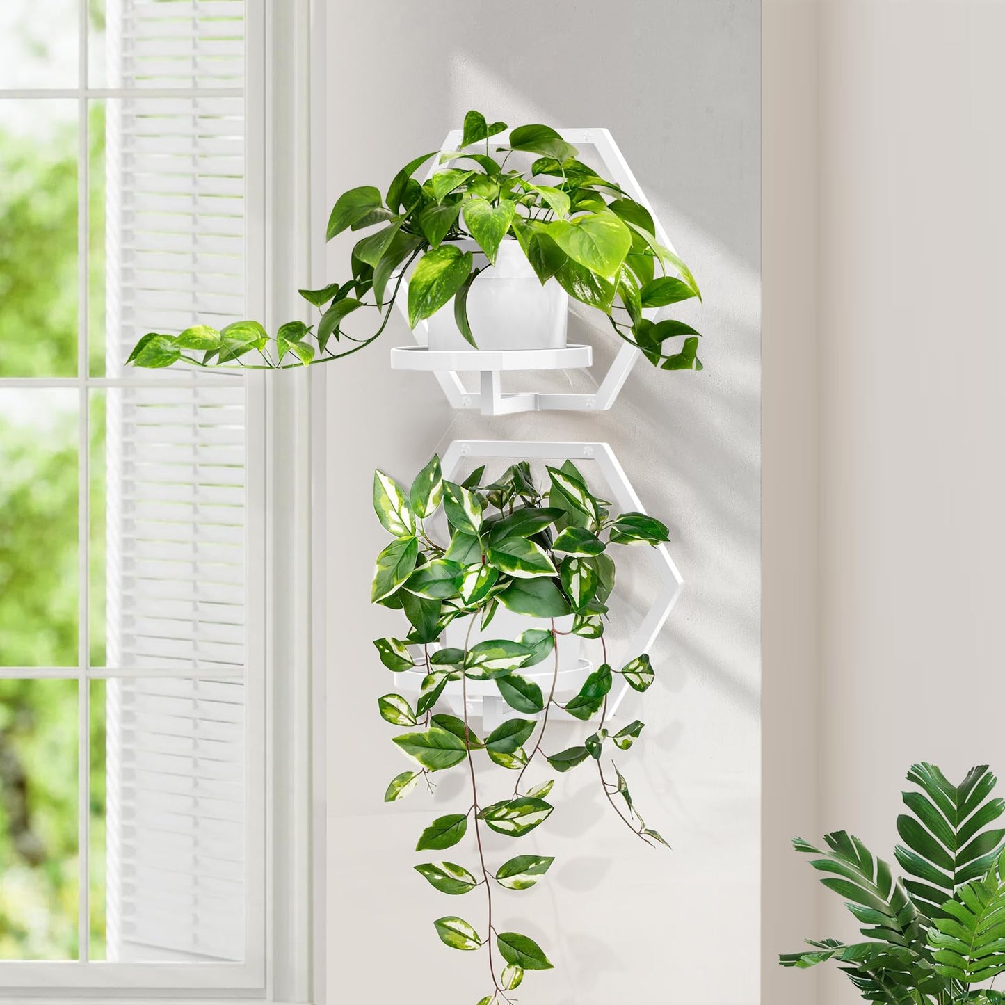 JOPBENG 3 Packs Wall Planters for Indoor Plants, 7.9inch Metal Wall Plant Holder Hanger Wall Decor, Wall-Mounted Hanging Planters Window Plant Shelves Outdoor(White)