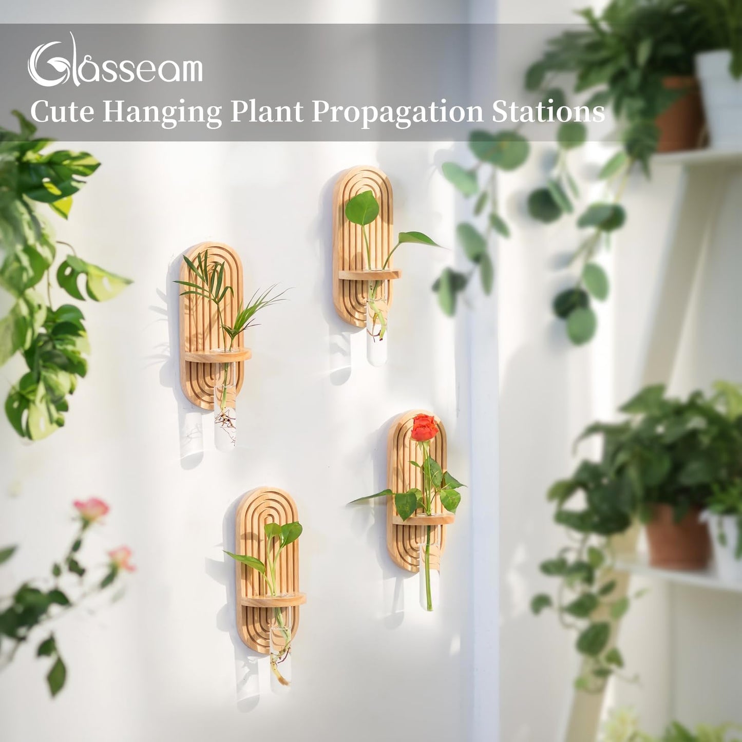 Glasseam Wall Plant Propagation Station: Hanging Glass Propagation Vases
